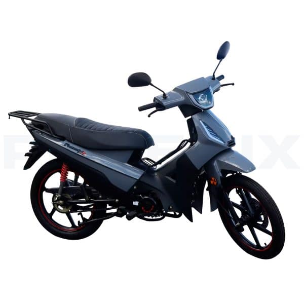 PHOENIX S EFI